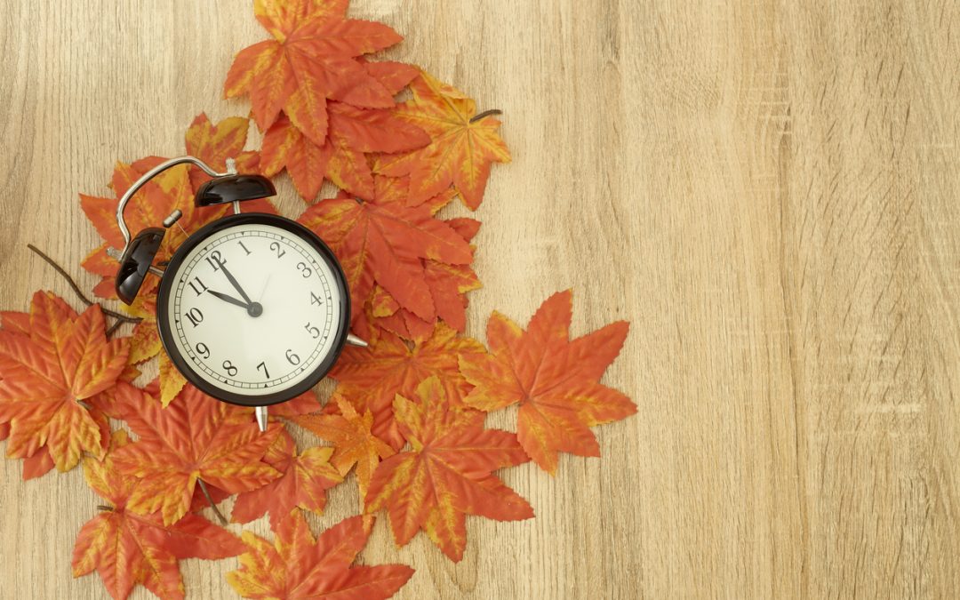 daylight-savings-time-how-to-survive-livlafandluv