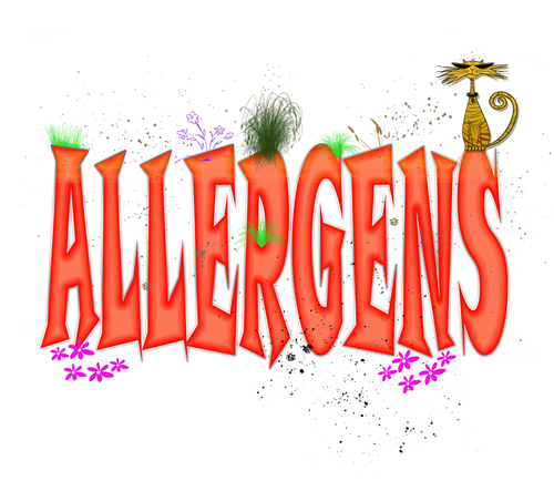 Reducing Summer Allergy Symptoms Indoors