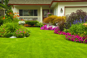 Landscaping is Beautiful and Useful: How to Take Advantage of the Foliage