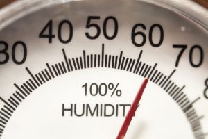 Learn How to Manage Humidity Levels by Season