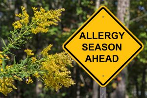 Steps to Prepare for Fall Allergens