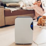 The Best Air Purifiers For Your Home