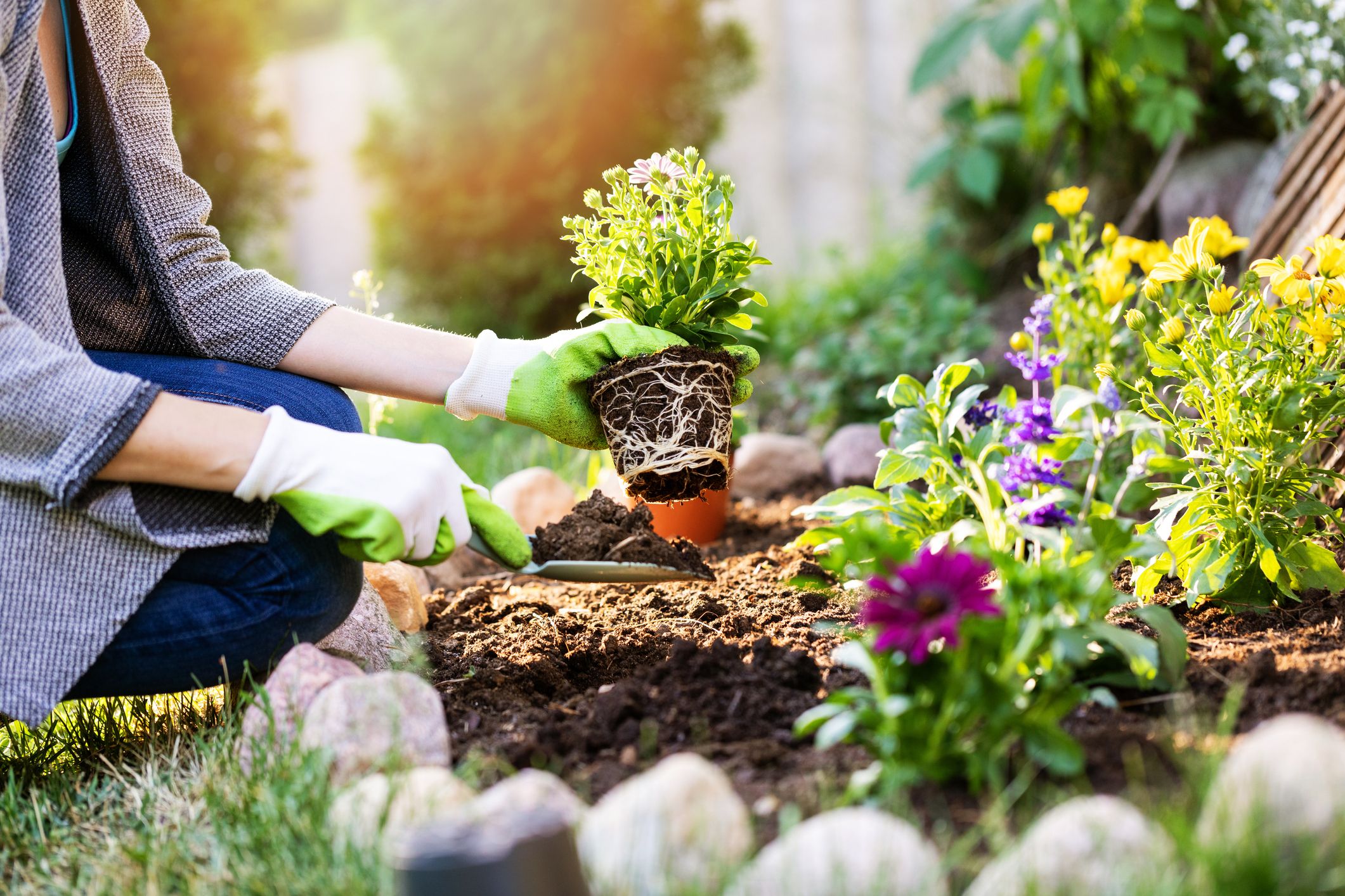 Does Gardening Affect Your HVAC Performance?
